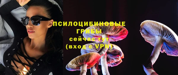тгк Нея